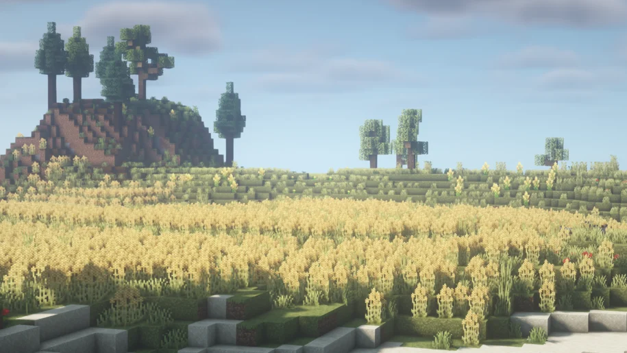 Wheat field in Minecraft