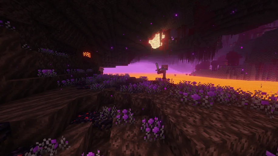 Mysterious biome in the Nether from the Better Nether mod