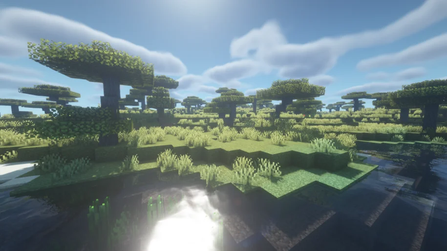 Minecraft savannah biome with BSL Shaders