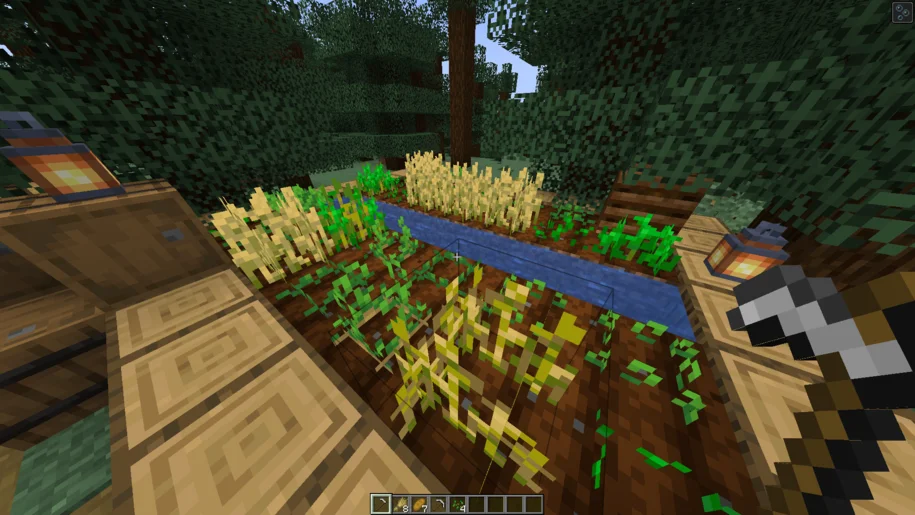 L'agriculture dans Minecraft